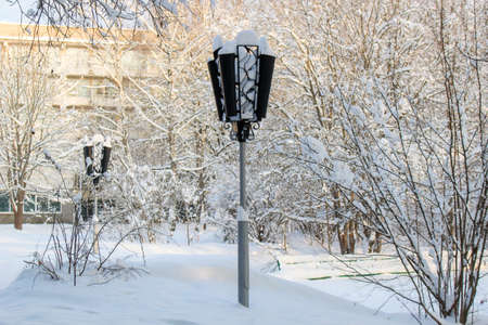 Lanterns in the snowy park in winterの写真素材