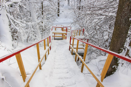 A ladder covered with snow on a hill in a winter day