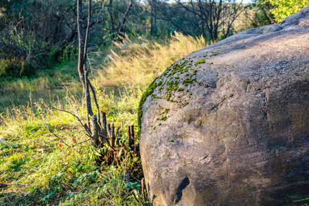 A large boulder near the village of Malomakhovo, Borovskiy district, Russiaの写真素材