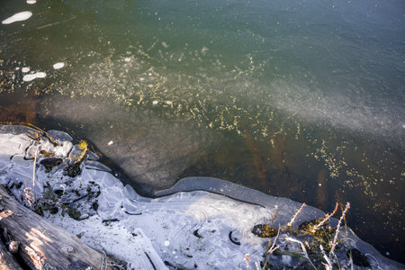 Thin first ice on the river in November