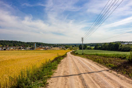 Farmer fields in summer, countryside landscape in summerの写真素材