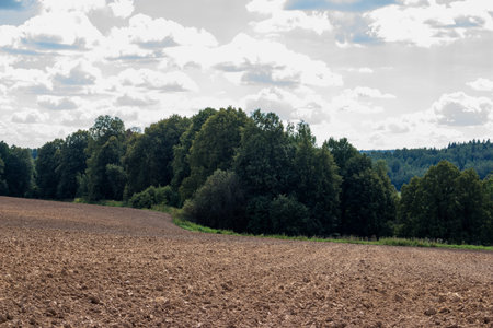 Plowed agricultural field in the countryside