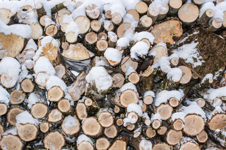 Wall of stacked logs and branches. Firewood in the snowの写真素材