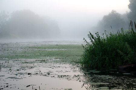 Fog in the early morning over the river