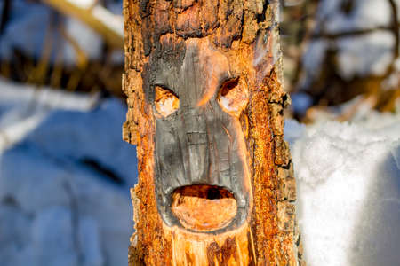 A log with eyes and mouth in the fire, a bonfire in the open airの写真素材