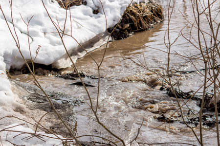Spring stream, snowmelt in early springの写真素材