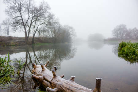 View of the river during a strong morning mist, foggy morningの写真素材