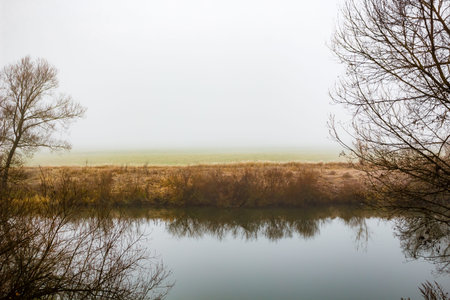Morning mist on the river. Silence natureの写真素材