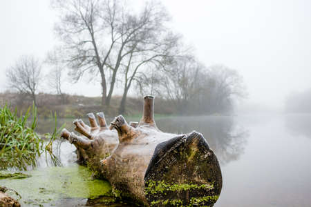 View of the river during a strong morning mist, foggy morningの写真素材