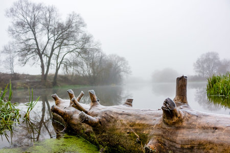 View of the river during a strong morning mist, foggy morning