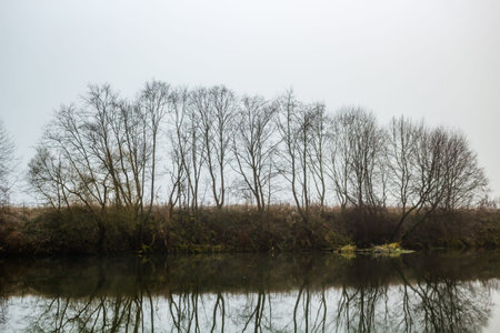 Morning mist on the river. Silence nature in November