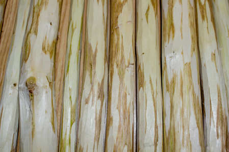 Background in the form of hazel woodの写真素材