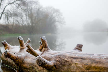 View of the river during a strong morning mist, foggy morningの写真素材