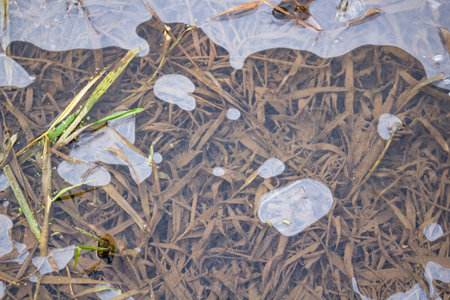 Thin ice on the river in autumn