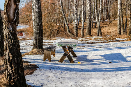 Table for picnics in nature in the winter birch forestの写真素材
