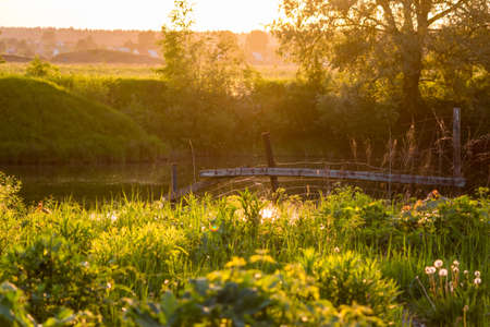 Landscape with a view of grassy thickets and a fence during sunsetの写真素材