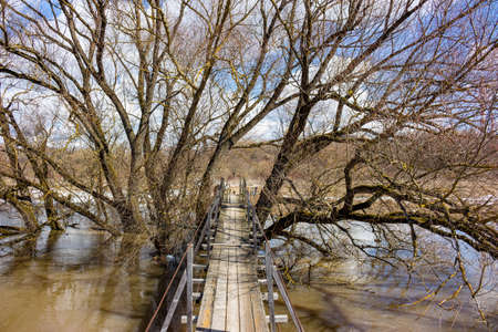 Wooden hinged bridge laid through trees above the river during a spring flood, scenic view