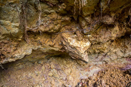 Flint in an outcrop of clay in a ravine