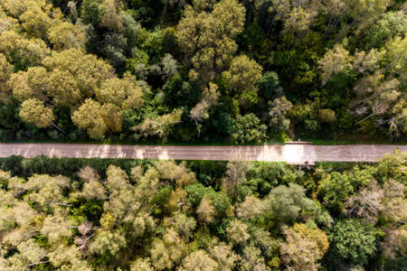 Automobile road passing through a dense autumn forestの写真素材
