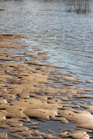 Sandy river bank after the flood, puddles on the sandy beach after low tide
