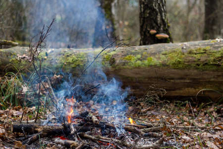 Small smoking bonfire in the autumn forest