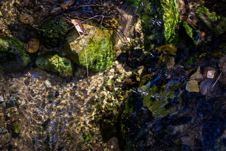 Rocky stream bed with clear water backgroundの写真素材