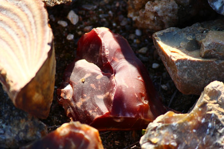 Fragment of rose quartz found in a sand and gravel quarry. Kaluga region, Russia
