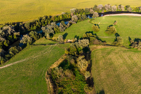 River bed with trees along the banks from the air. Protva river in Kaluzhskiy region, Russiaの写真素材