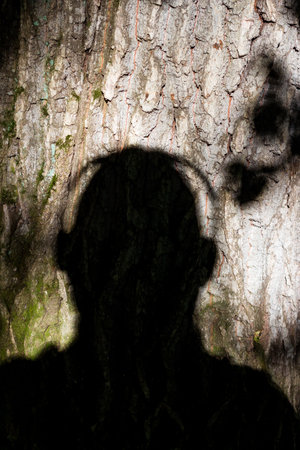 Shadow on the tree, silhouette of a man in headphones