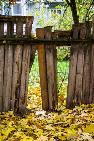 Winter landscape with a view of a snow-covered pond and rural houses on the other side outdoorの写真素材
