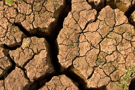 Drying cracks on the clay bottom of the reservoir after the water has dried surface closeup