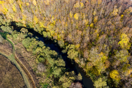 Autumn forest on the bank of a small river, aerial view. Nara River, Russiaの写真素材