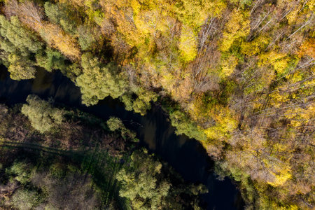 Autumn forest on the bank of a small river, aerial view. Nara River, Russia