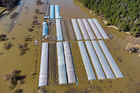 Farmlands and greenhouses flooded during the spring flood in the river floodplain, aerial view