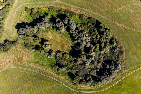 Ogubskoye swamp settlement, view from a great height. Archaeological site in Zhukovsky district, Kaluga region, Russiaの写真素材