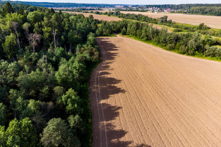 Aerial view of agricultural fields surrounded by green forestsの写真素材