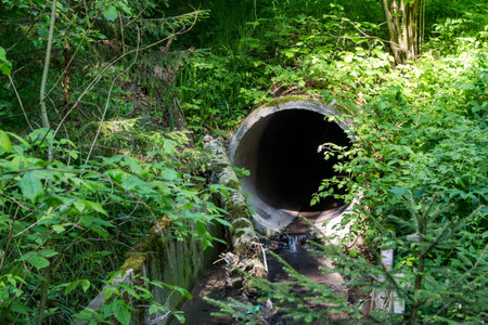 Storm drain pipe leading into a forest ravine