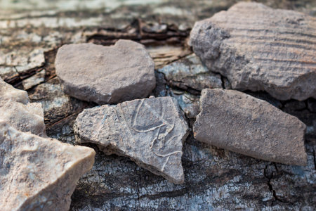 Fragments of ceramic vessels found in the ground at the site of an ancient settlement, archaeological artifacts. Kaluga region, Russiaの写真素材