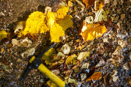 A metal pickaxe with a handle plastic and fallen yellow leaves in the water. Geological hike