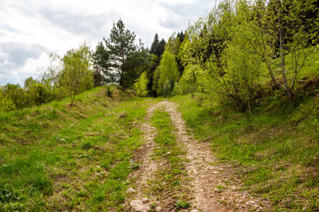 Rocky country road going uphill