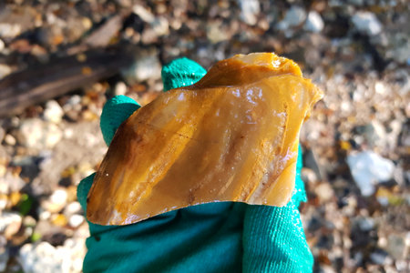 Gloved hand holding a cool, rough piece of banded devil or jasper, its warm, earthy tones gleaming. Natural light highlights its unique patternsの写真素材