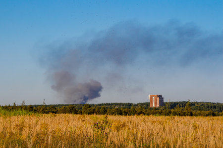 Heavy smoke billows from afar, staining a bright blue sky above a tranquil golden field and a...