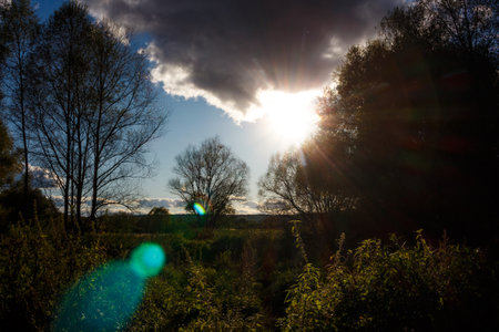Dramatic sunburst through dark clouds, illuminating silhouetted trees, a wild nature scene with bright light and a captivating lens flareの写真素材