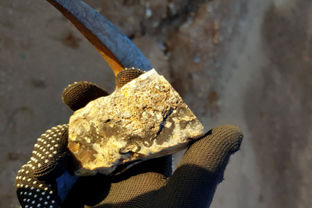 Gloved hand holding a raw flint stone with a geology hammer. Freshly excavated stone, showcasing...
