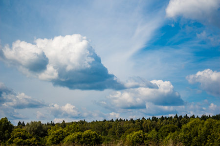 Majestic, billowy clouds drift across a vibrant blue expanse, with a lush forest and green trees grounding the view below. Nature's beautyの写真素材