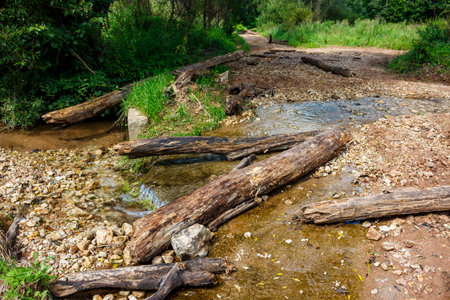 Gnarly logs bridge a shallow, rocky creek. A rustic trail winds through lush woods, a natural fordの写真素材