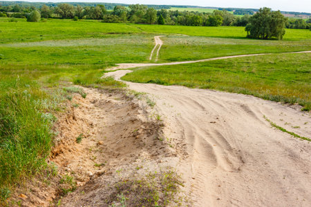 Winding dirt road meanders through vibrant green fields under a clear sky. Its sandy surface shows subtle tire tracks, inviting exploration into natureの写真素材