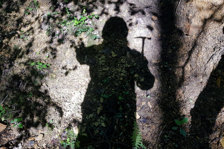 A hiker's shadow, with a pick axe, stretching across sun-dappled earthy terrain and small plants, conveying outdoor adventureの写真素材