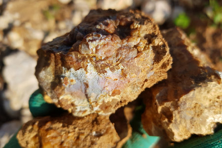 Striking chalcedony mineral formation embedded in rugged flint rock, displaying its captivating...