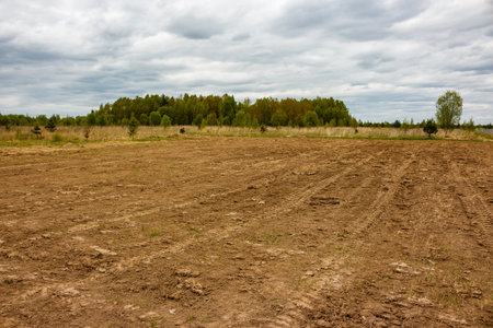 Leveled brown earth fills the foreground, marked with tire tracks, suggesting fresh groundwork. A distant green forest and cloudy sky complete the peaceful rural sceneの写真素材